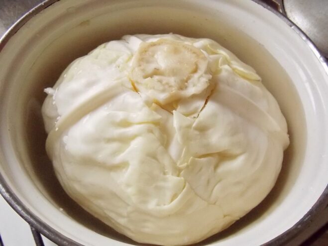 How to Prepare Cabbage Leaves for Rolls: Boiling Method A whole head of white cabbage being boiled in a large pot of water to soften the leaves.