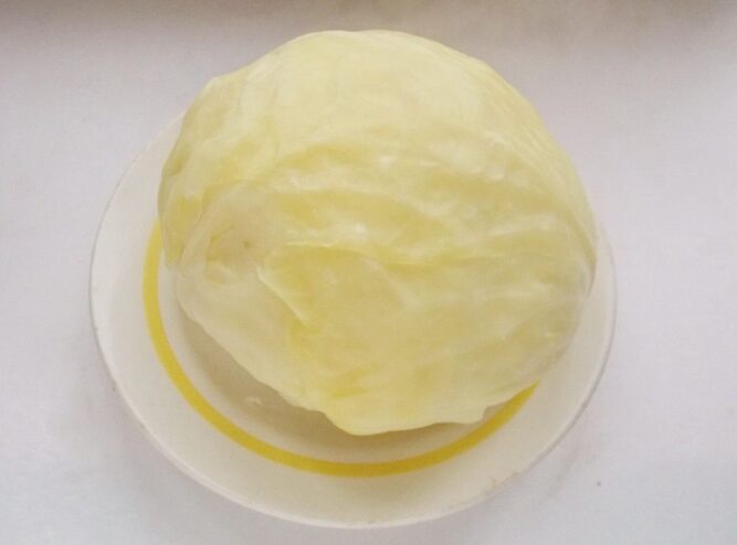 Softened Cabbage Ready for Making Rolls A boiled head of cabbage on a plate, ready for the leaves to be separated for making golubtsy.