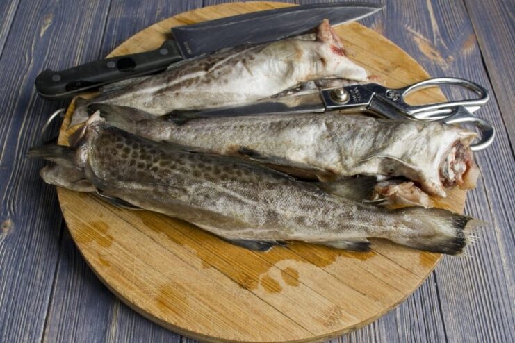 Preparing whole cod for fish cakes A whole cod fish being cleaned and prepared on a cutting board.