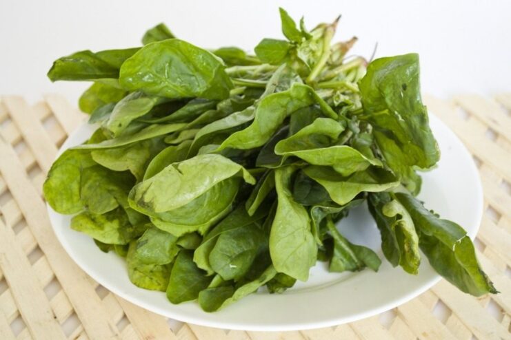 Step 1: Rinsing fresh spinach leaves to prepare them for the pasta dough. Fresh spinach leaves being rinsed in a white colander.