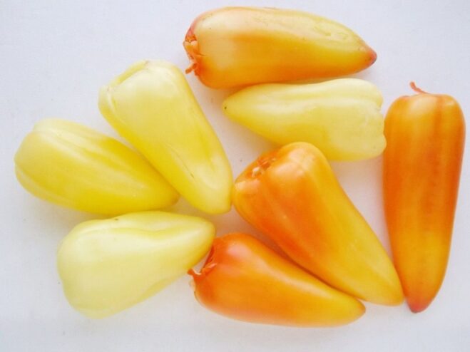 Preparing Bell Peppers for Stuffing Hollowed-out bell peppers with tops and seeds removed, ready to be filled.