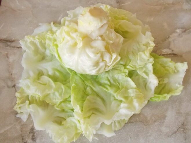 Preparing cabbage leaves for making golubtsy A whole head of cabbage being boiled in a large pot of water to soften the leaves.