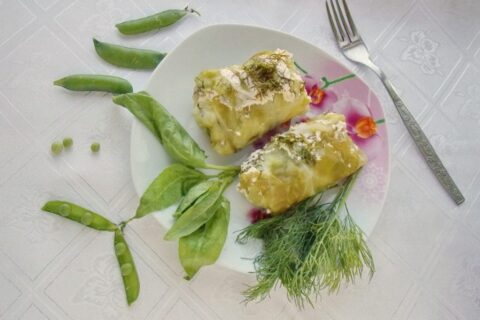 Golubtsy with Spinach — Cabbage Rolls with Spinach