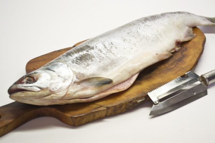 A whole pink salmon on a cutting board, ready to be prepared for curing.