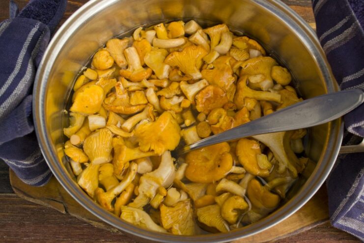 Cooking the mushrooms until tender with aromatics Chanterelle mushrooms boiling in a pot with water, garlic, and a bay leaf.