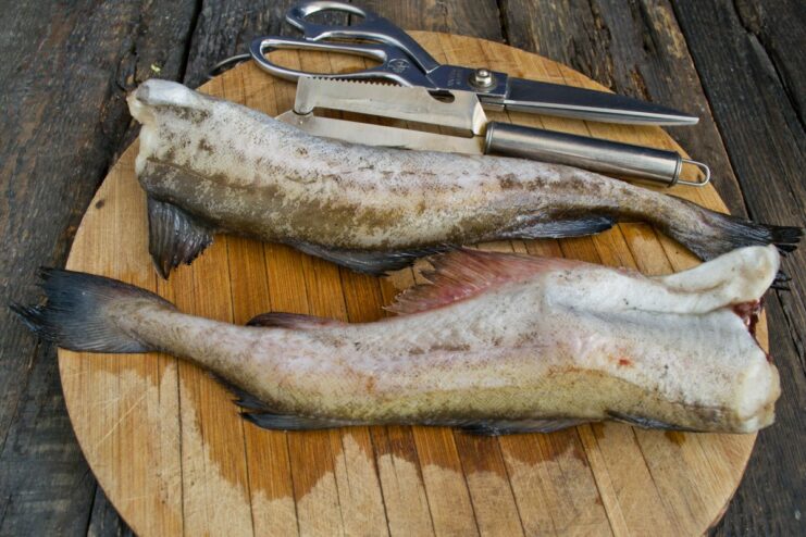 How to Properly Clean and Prepare Pollock for Cooking A whole pollock fish on a cutting board being prepared for cleaning.