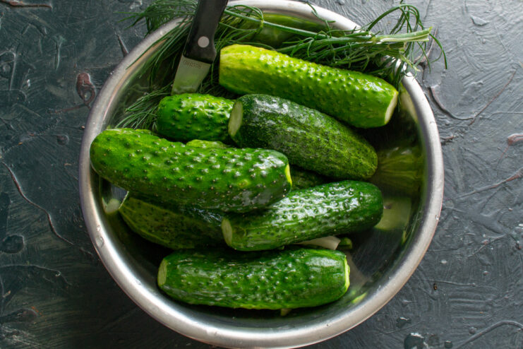 Soaking Cucumbers to Ensure They Stay Crunchy Fresh green cucumbers soaking in a large bowl of cold water.