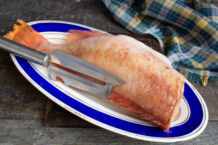 A whole sea bass being cleaned and gutted on a cutting board before cooking.