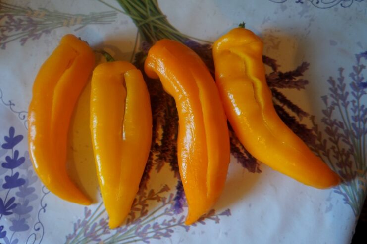 A red pepper with a T-shaped cut, showing how to remove the seeds for stuffing.