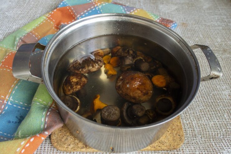 Boiling wild mushrooms to create a flavorful broth for the barley. Wild mushrooms boiling in a pot of water.