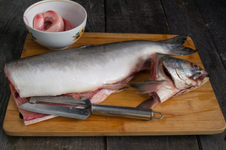 How to Prepare Pink Salmon for Curing A whole pink salmon being cleaned and gutted on a cutting board.