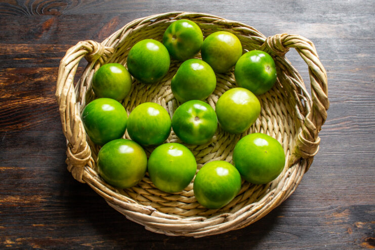 Preparing Green Tomatoes for Pickling - Washing and Selecting the Best Ones A colander full of fresh, firm green tomatoes being washed under running water in a kitchen sink.