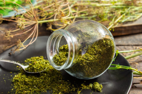 How to Dry Dill for the Winter