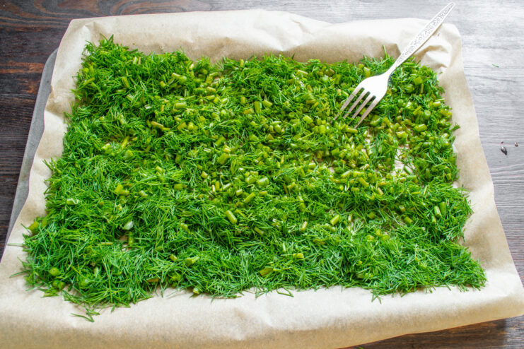 Spreading chopped dill in a thin layer on parchment paper for even drying Chopped dill spread evenly on a sheet of baking paper on a tray.