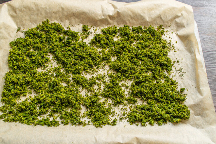 Grinding dried dill in small portions for a consistent powder A coffee grinder filled with dried dill, ready to be ground into powder.
