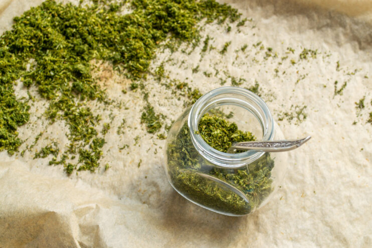 Storing homemade dried dill powder in an airtight glass jar Ground dill powder being transferred into a small, clean glass jar for storage.