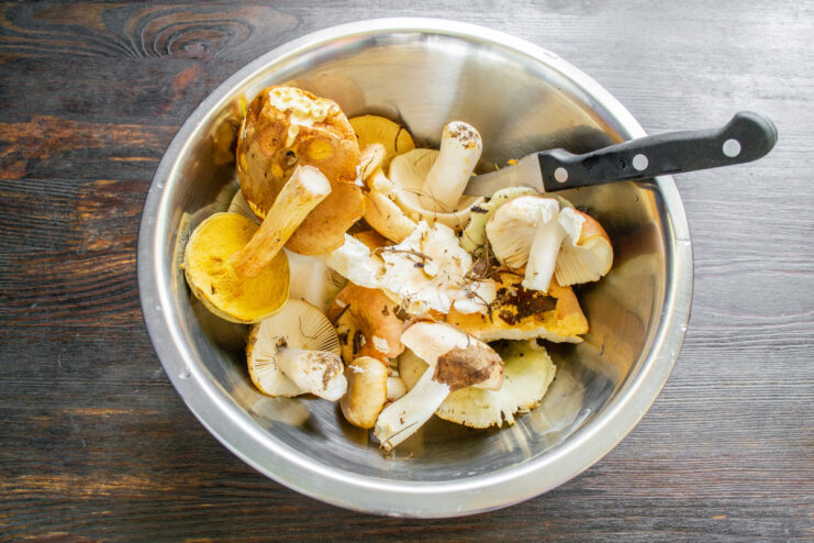 How to Prepare Russula Mushrooms: Soaking in Hot Water A bowl of wild mushrooms (syroezhki) being soaked in hot water before cleaning.