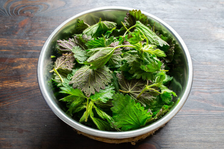 How to Prepare Nettles for Cooking: Blanching A bowl of fresh nettle leaves being blanched with boiling water.