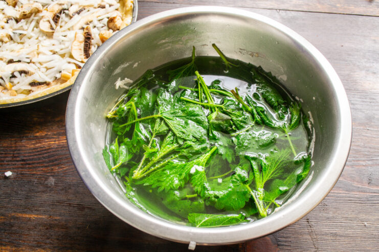 How to Prepare Nettles for Cooking: Blanching Fresh nettle leaves in a bowl being blanched with boiling water to remove their sting.