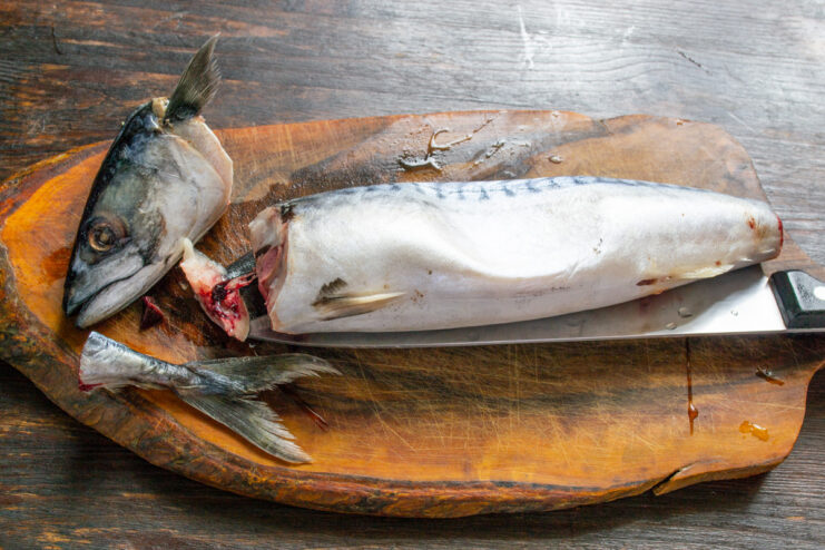 How to Prepare Mackerel for Cooking A whole thawed mackerel on a cutting board, being prepared for cooking by having its head and tail removed.