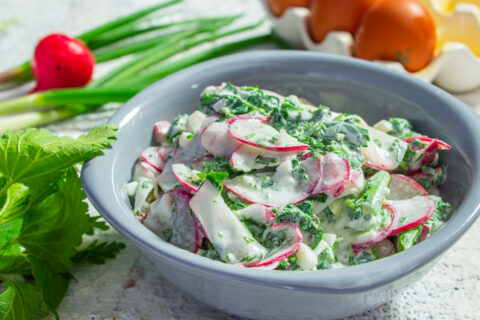 Spring Salad with Red Radish and Nettle