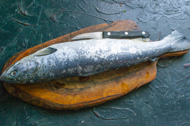 Step 1: How to Properly Clean and Prepare a Whole Salmon A whole salmon being gutted and cleaned under cold running water in a kitchen sink.