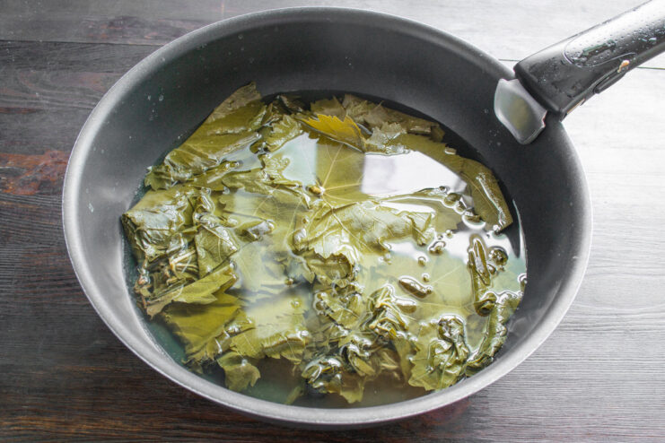 Choosing between fresh and jarred grape leaves for Dolma A stack of preserved grape leaves ready to be used for making Dolma.