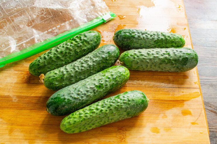 Choosing the right cucumbers for pickling ensures they salt evenly. A pile of fresh, green cucumbers of similar size, ready for pickling.