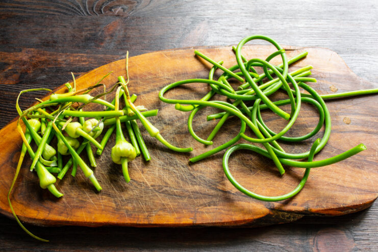 Preparing Garlic Scapes: How to Trim Them for the Recipe A hand holding a bunch of fresh garlic scapes, trimming the ends with a knife on a cutting board.