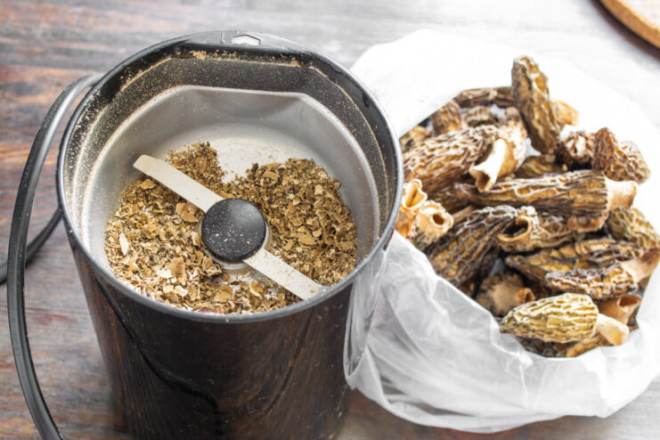 Using a Coffee Grinder for Intense Mushroom Flavor Dried morel mushrooms being ground into a fine powder in an electric coffee grinder.