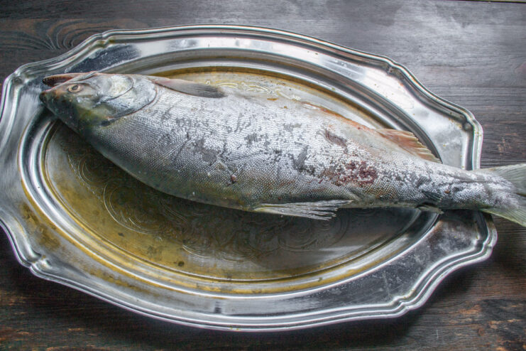 Thawing Frozen Pink Salmon in the Refrigerator A whole frozen pink salmon on a white plate, beginning to thaw in the refrigerator.
