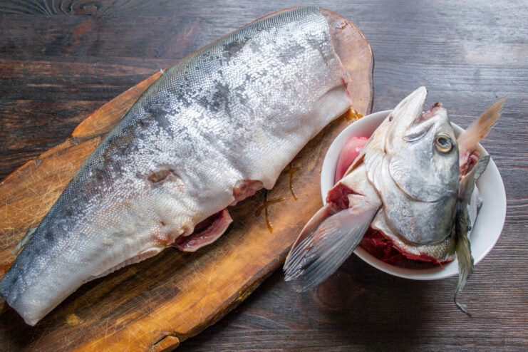 How to Clean and Prepare Pink Salmon for Curing A person's hands gutting a pink salmon in a kitchen sink under running water.