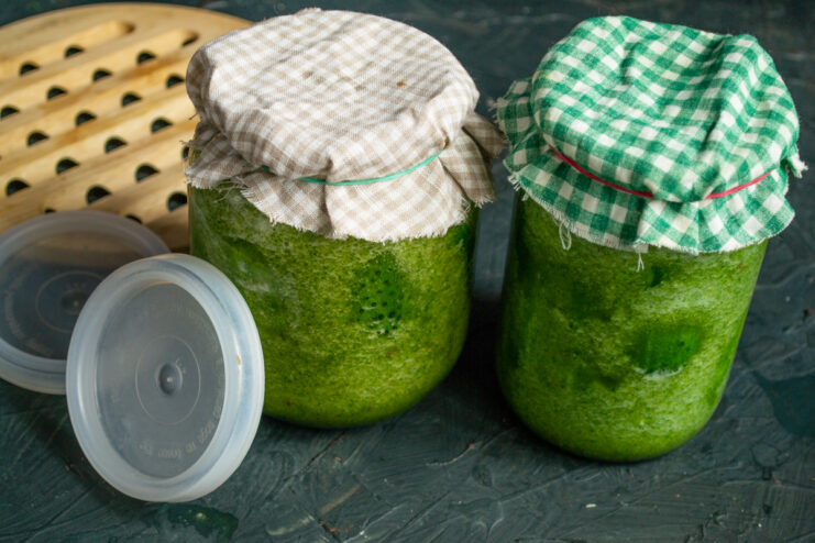 Preparing pickles for cold storage Sealing glass jars of pickled cucumbers with plastic lids after active fermentation