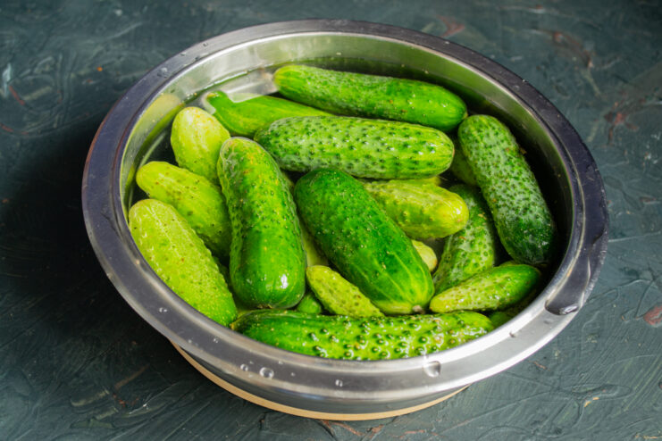 Soaking cucumbers before pickling Firm green cucumbers soaking in a large bowl of cold water