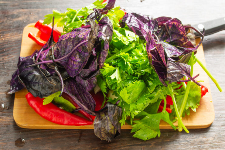 Preparing Purple Basil Fresh purple basil leaves over vegetables on a board