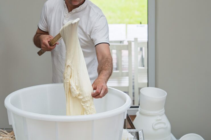 An artisan cheesemaker stretching and kneading hot curd to make fresh mozzarella. Cheesemaker stretching hot curd in a water bath to form traditional mozzarella pasta filata.