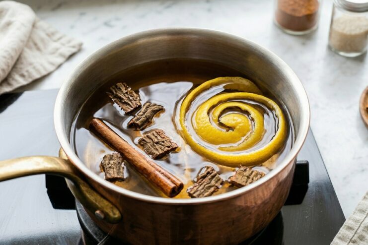 Ingredients for Tonic Syrup in a Pot Process of brewing tonic with cinchona bark, a cinnamon stick, and lemon zest in a pot of water