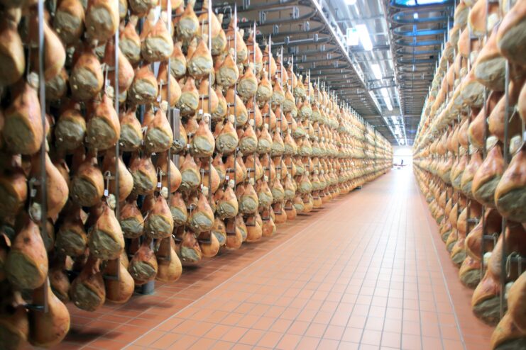 Prosciutto di Parma curing process Multiple pork legs hanging in a large curing room during the aging process
