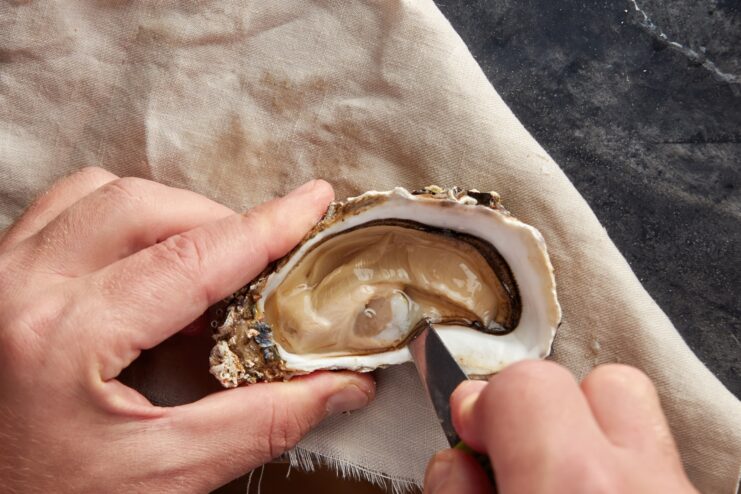 Slicing The Top Oyster Muscle Cutting the top muscle of an oyster inside an open shell with a knife