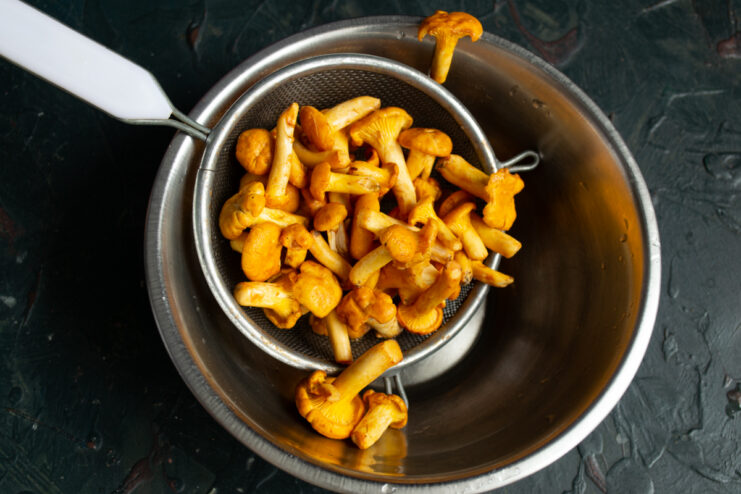 Preparing the chanterelles Fresh chanterelle mushrooms in a sieve over a bowl being rinsed