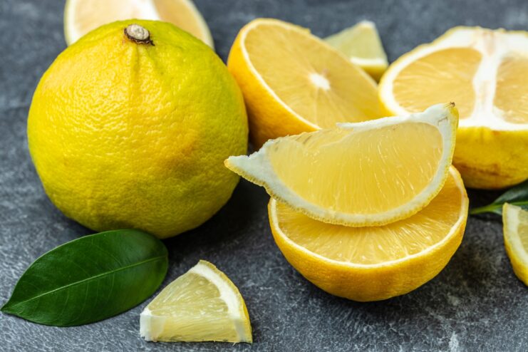 Fresh Bergamot Fruits Fresh green bergamot fruits with leaves set against a bright background