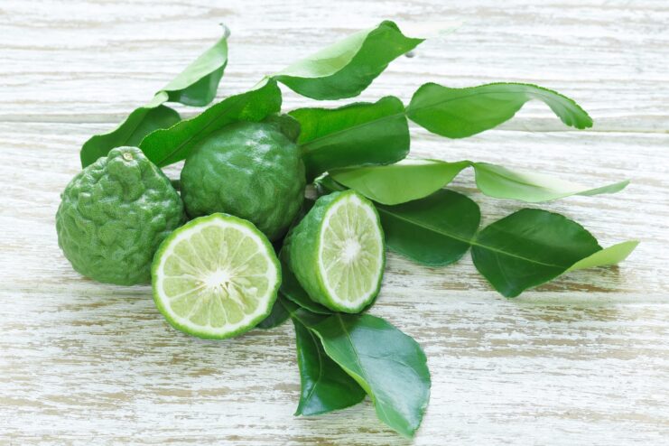 Makrut Lime and Leaves Dark green bumpy makrut lime fruits alongside their distinct double leaves