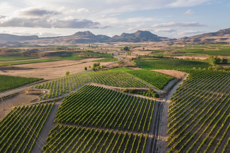 Aerial view of lush green vineyards stretching across the Rioja region in Spain