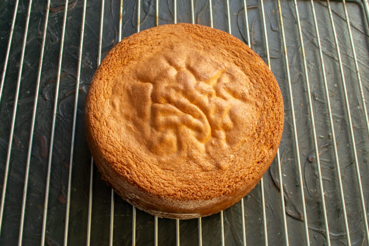 Cooling The Baked Cake Sponge cake cooling on a metal wire rack