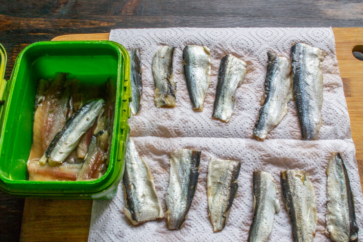 Drying the cured fillets Cured fish fillets resting on white paper towels