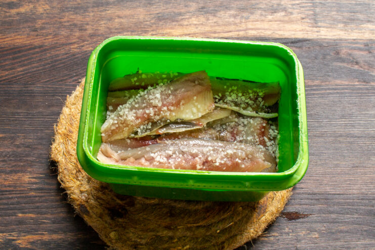 Layering the fish with salt Herring fillets layered with salt in a green plastic container