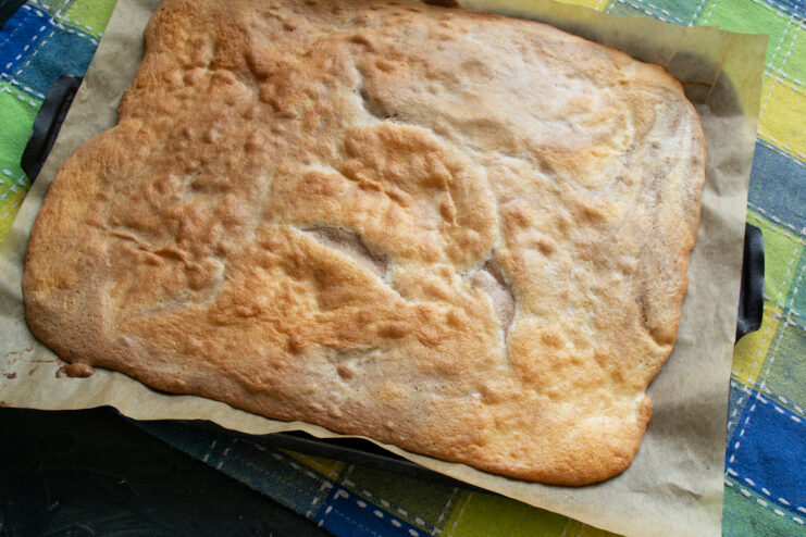 Baked sponge cake Freshly baked marble sponge cake on a baking sheet