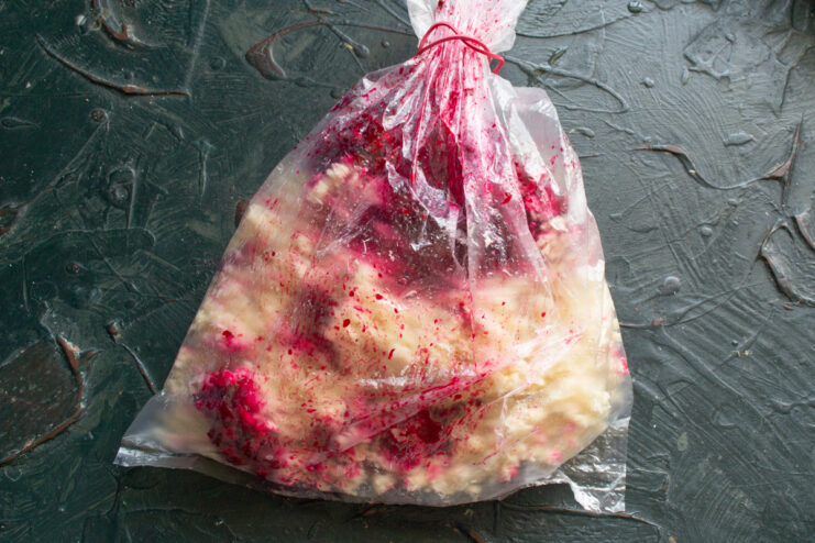 Grinding horseradish with a bag Ground horseradish and beet mixture collecting inside a plastic bag attached to a meat grinder.