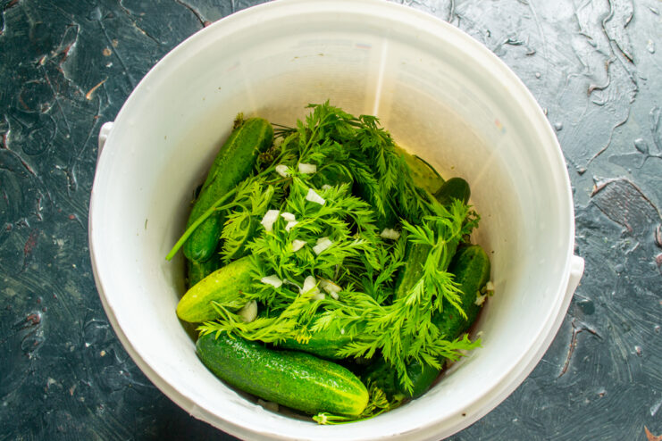 Fresh carrot greens layered over cucumbers in a bucket