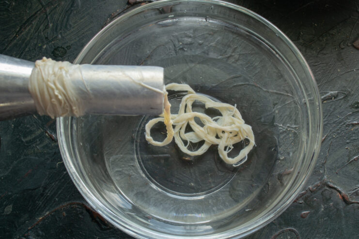 Preparing For Stuffing Threading natural pork casing onto a meat grinder nozzle